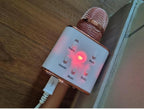 Bluetooth Mini Mic with Speaker for Home & Party Use